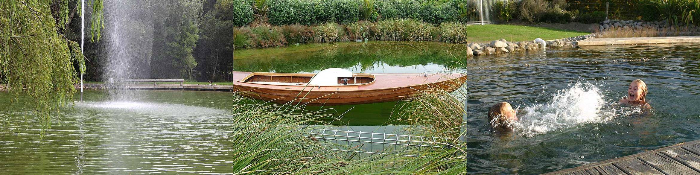 inground pool near wetlands